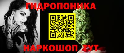 мдпв Надым