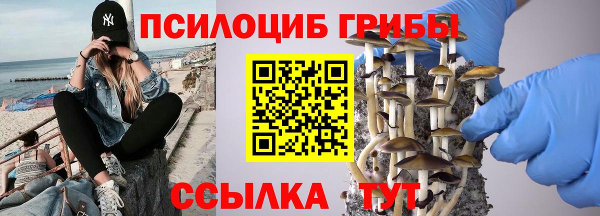 Псилоцибиновые грибы мицелий Кемерово